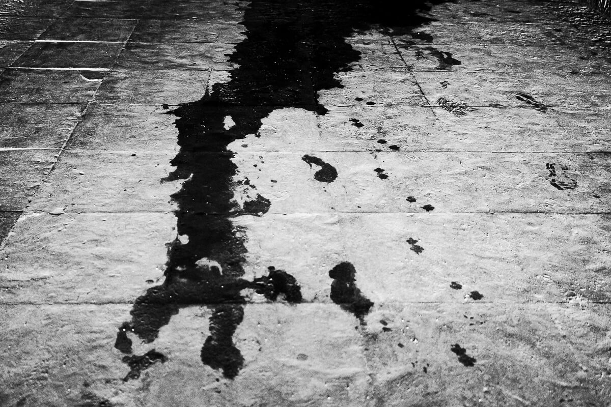 Ink of Tragedy<p>© Martin Miklas</p>