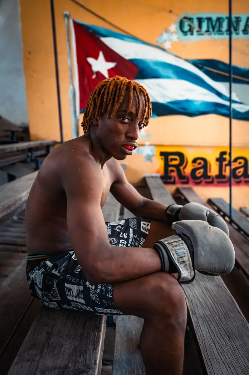 <p>&copy; Mogli Maureal</p>