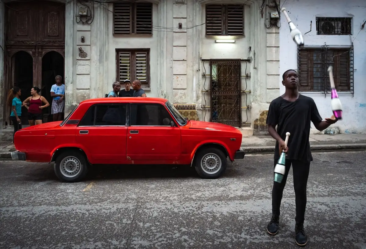 <p>&copy; Mogli Maureal</p>