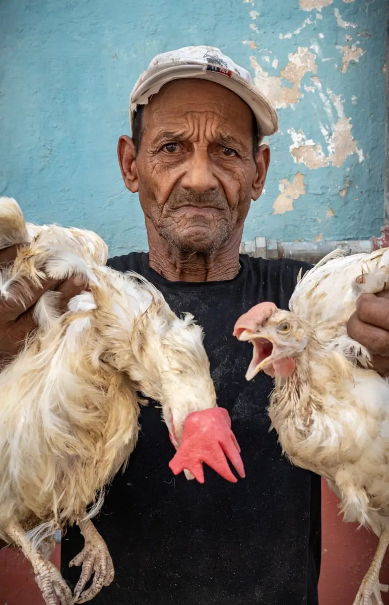 <p>&copy; Mogli Maureal</p>