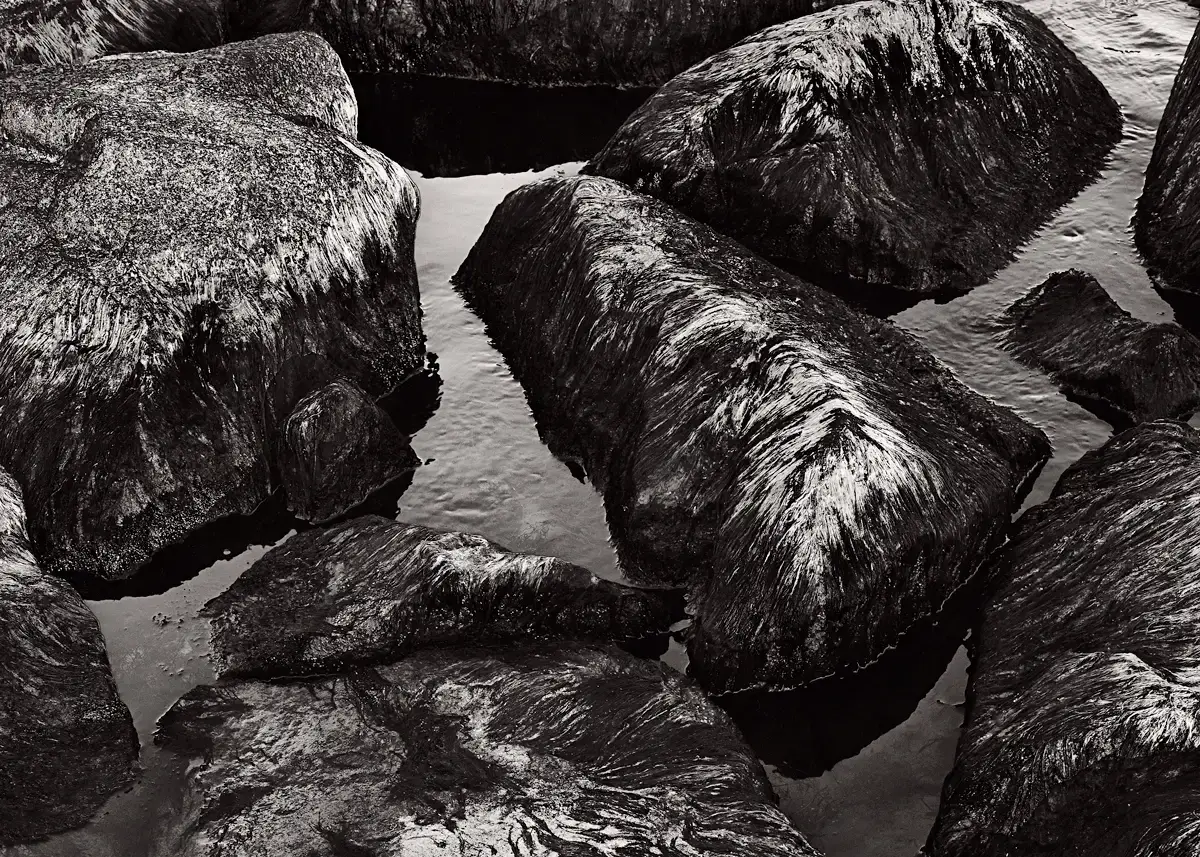 Blooming Stones<p>© Monika Maroziene</p>