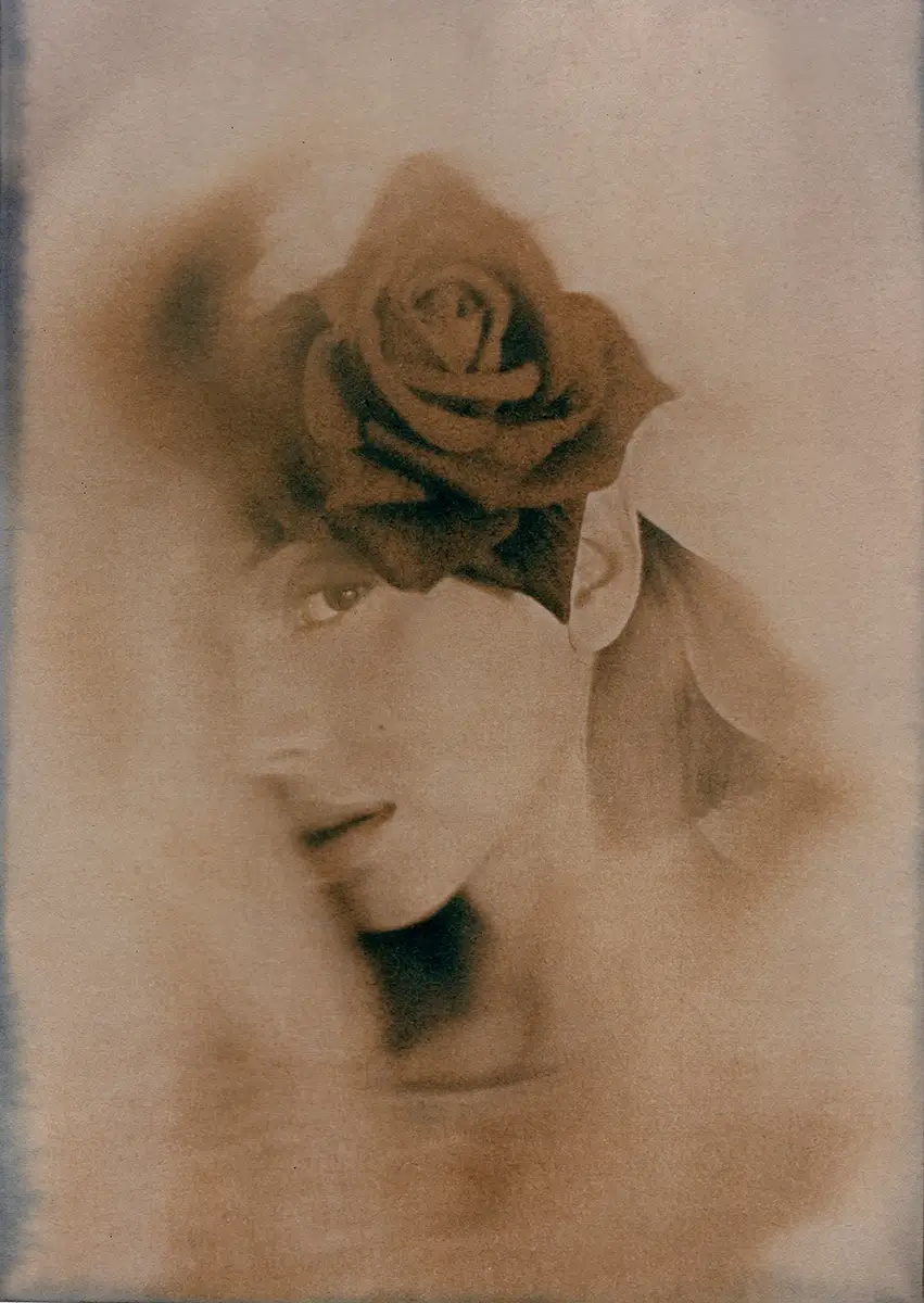 The Purple Rose<p>© Olivia Mazzola</p>