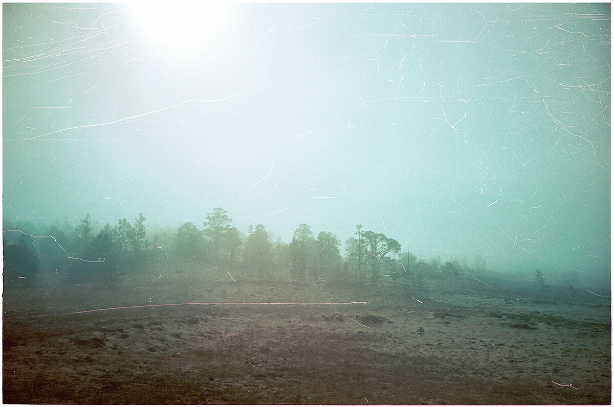 <p>© Olivia Milani</p>