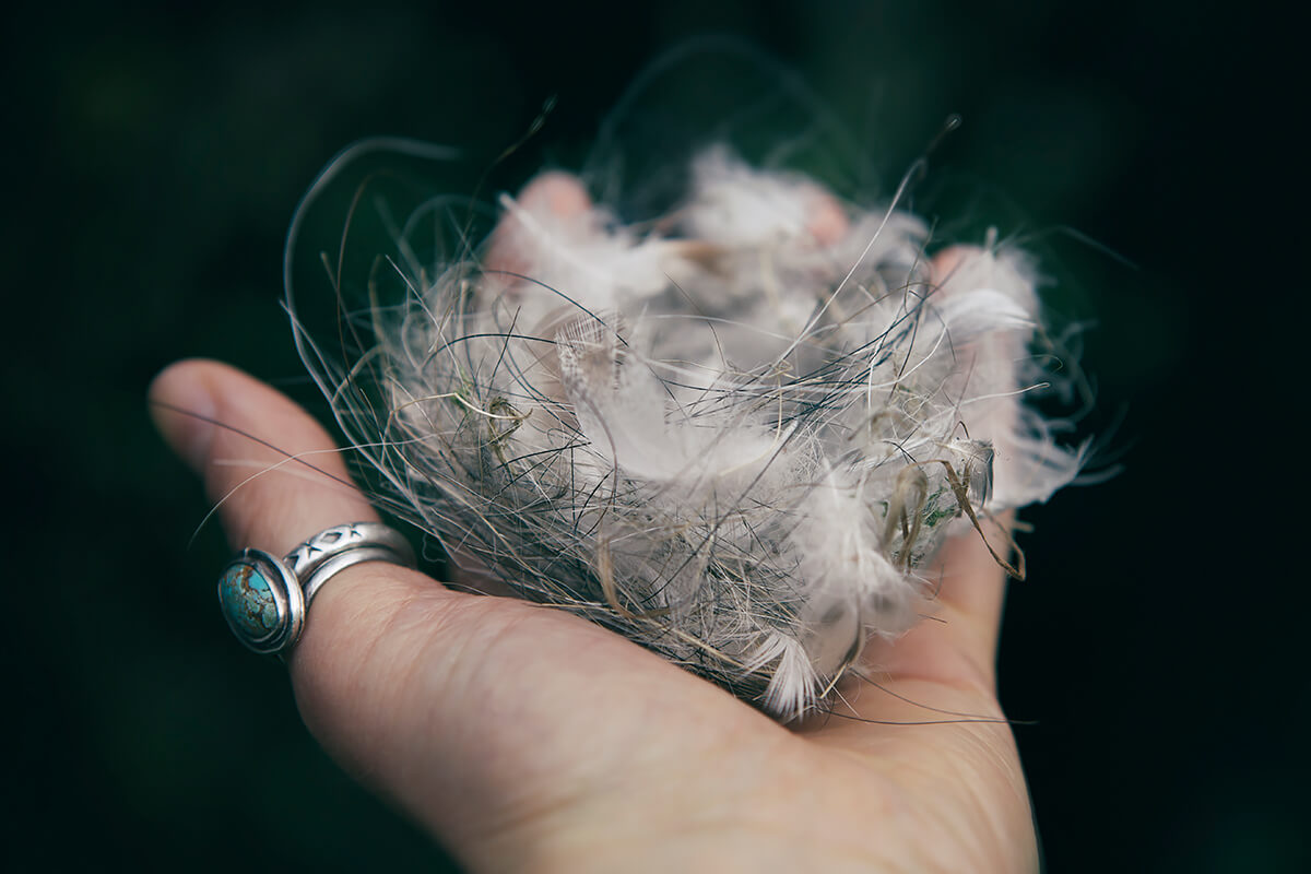 <p>© Olivia Milani</p>