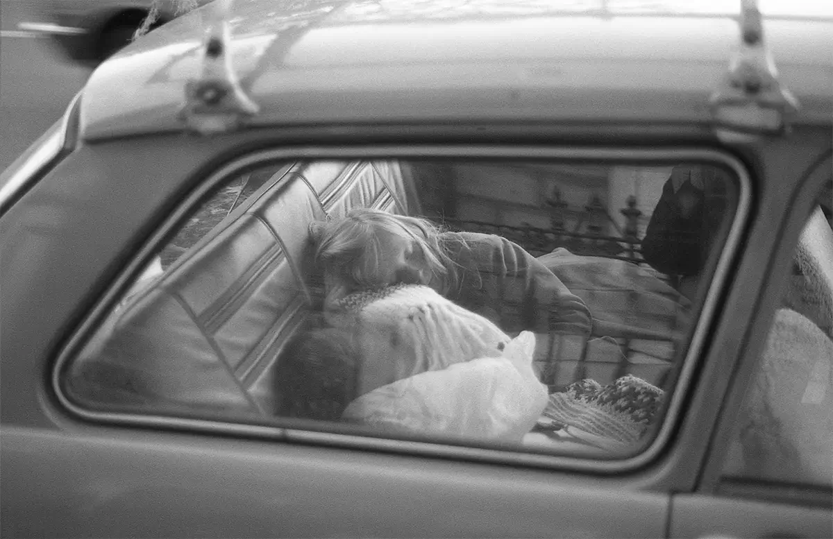 Napscape<p>© Patricia McElroy</p>