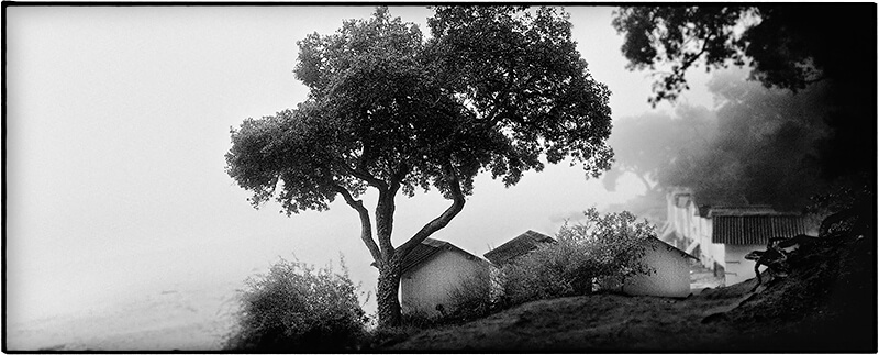 Huts and tree<p>© Philippe Marchand</p>