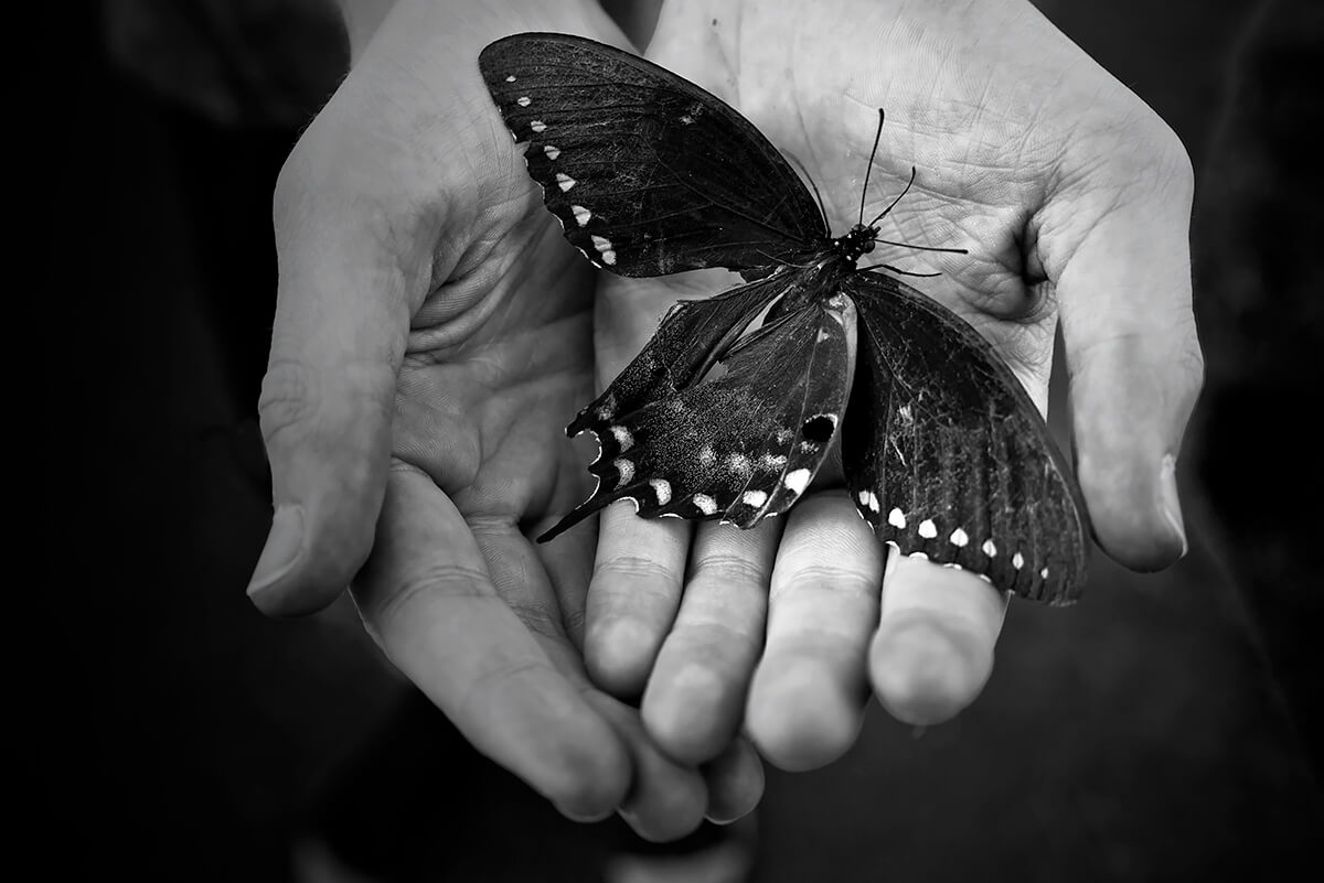 Butterfly Hand<p>© Rebecca Moseman</p>
