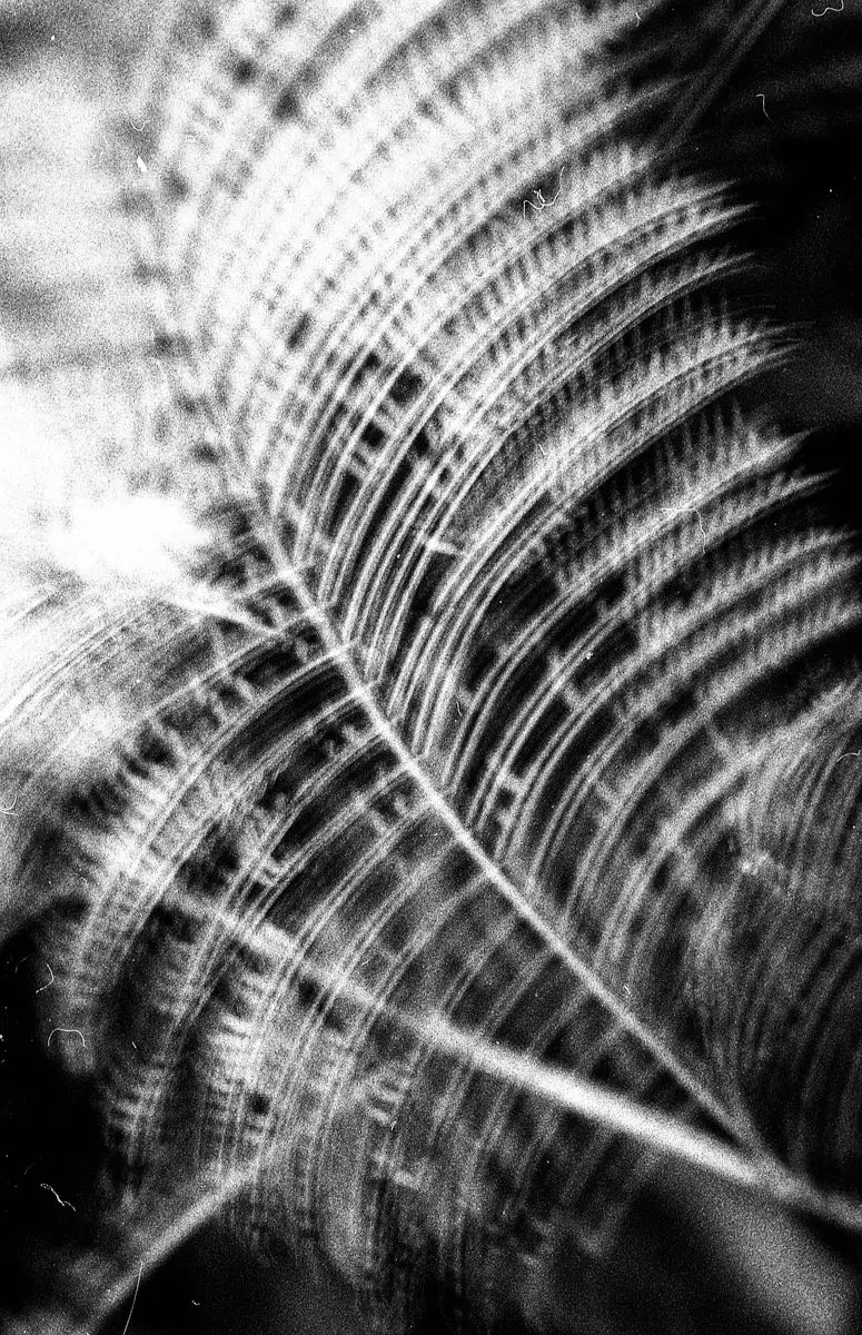 <p>© Sebastián Machado</p>