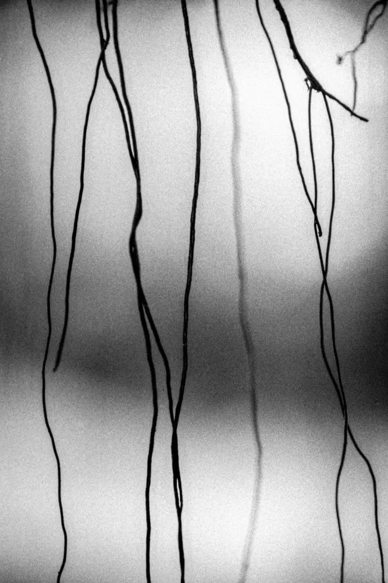 <p>© Sebastián Machado</p>