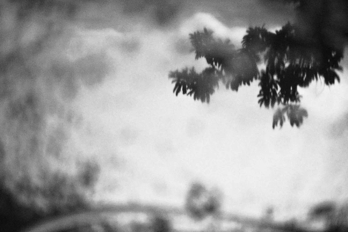 <p>© Sebastián Machado</p>