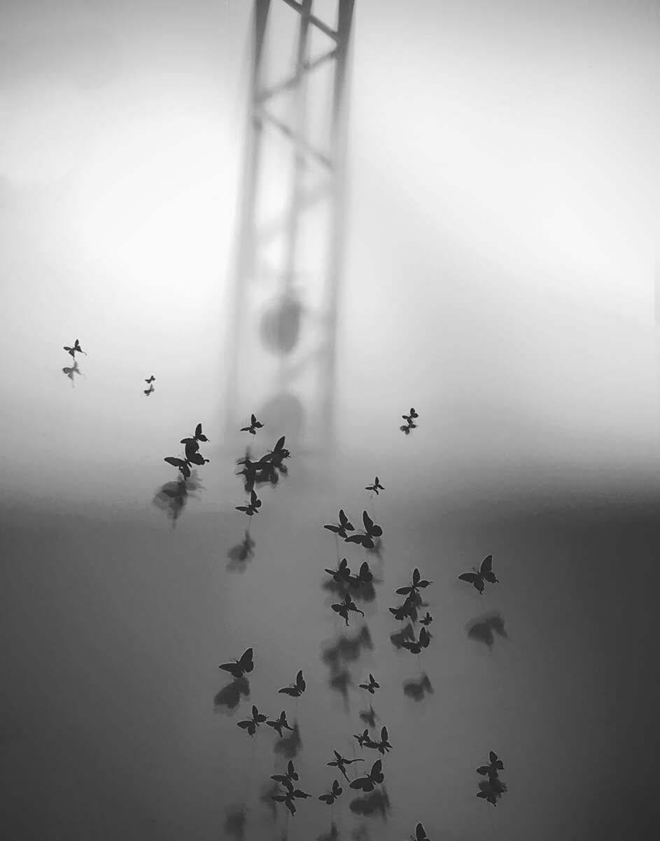 <p>© Sonia Melnikova-Raich</p>