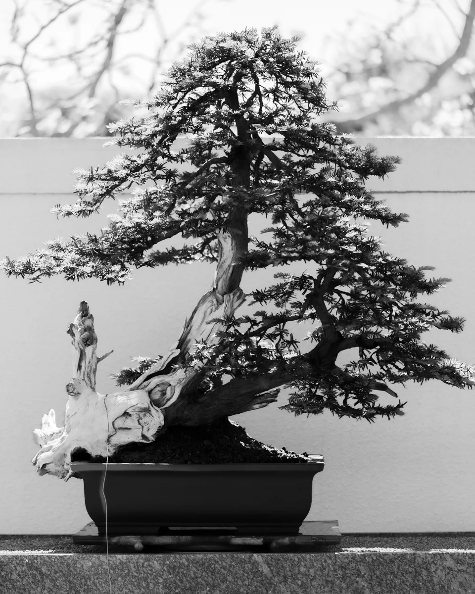 <p>© Victor Marion</p>