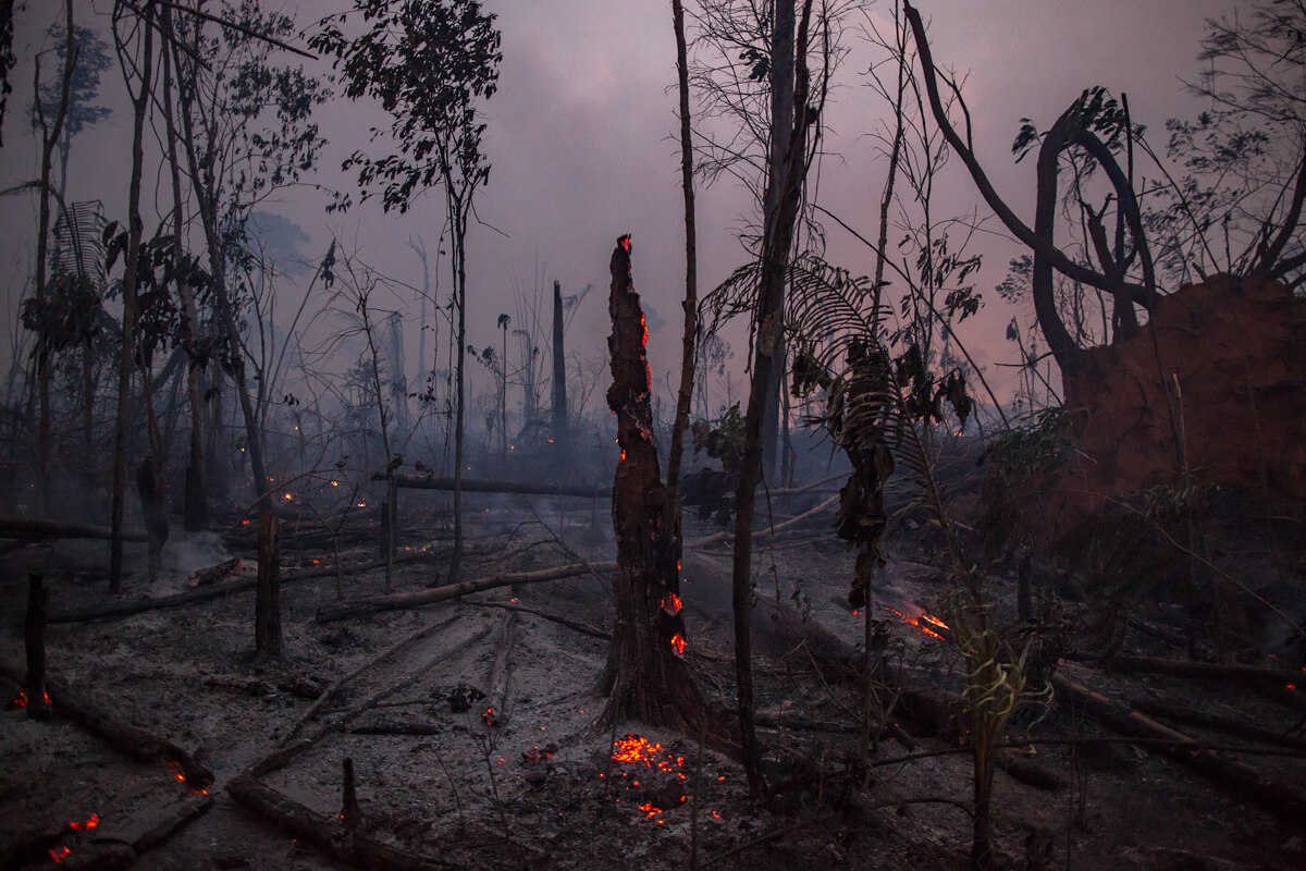 Amazon Deforestation<p>© Victor Moriyama</p>