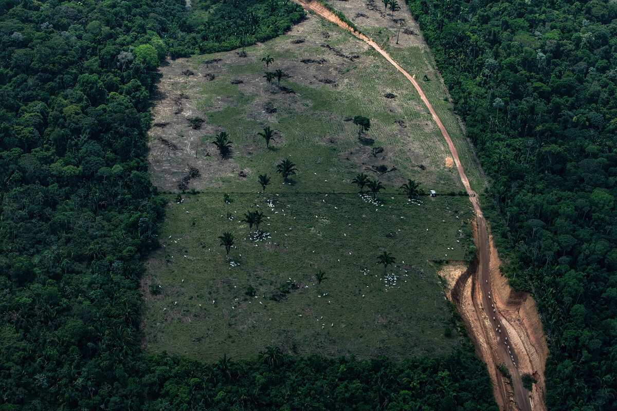 Amazon Deforestation<p>© Victor Moriyama</p>