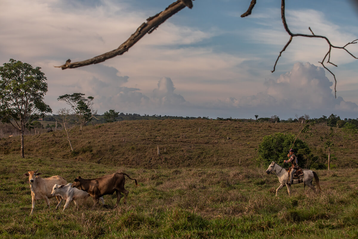 Amazon Deforestation<p>© Victor Moriyama</p>