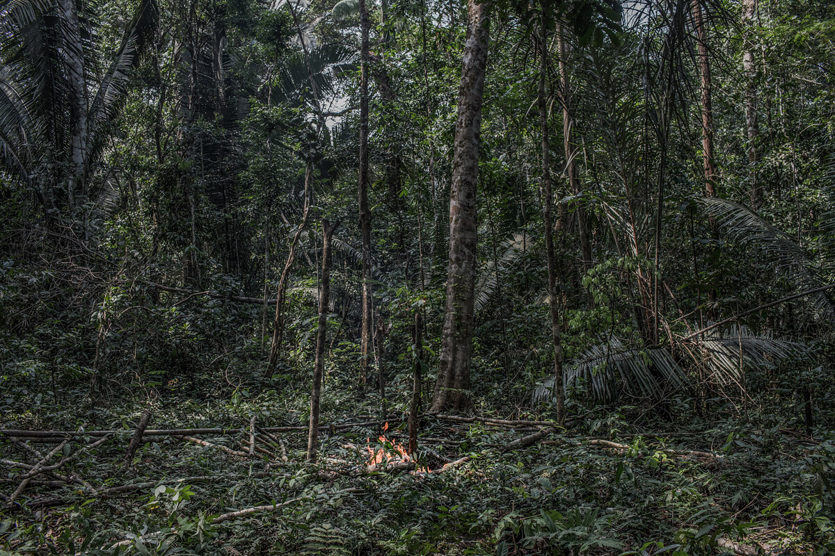 Amazon Deforestation<p>© Victor Moriyama</p>