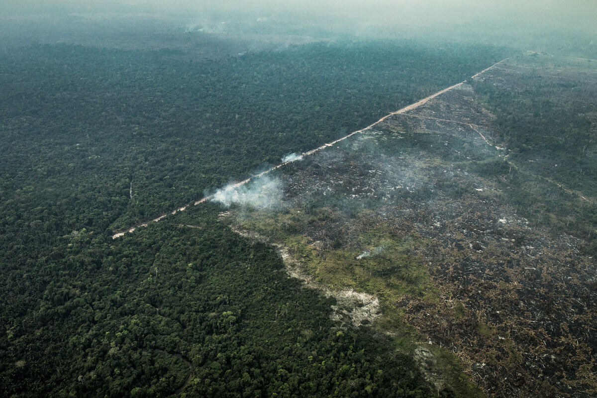 Amazon Deforestation<p>© Victor Moriyama</p>
