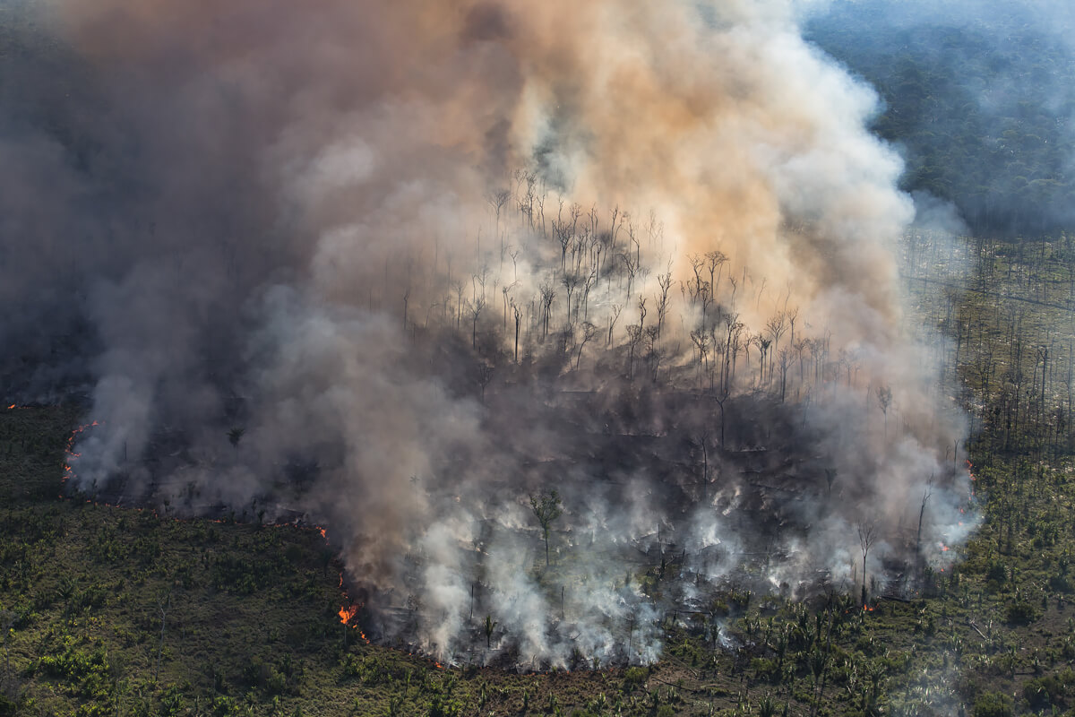 Amazon Deforestation<p>© Victor Moriyama</p>