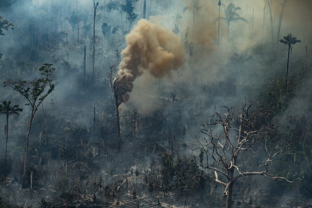 Amazon Deforestation<p>© Victor Moriyama</p>