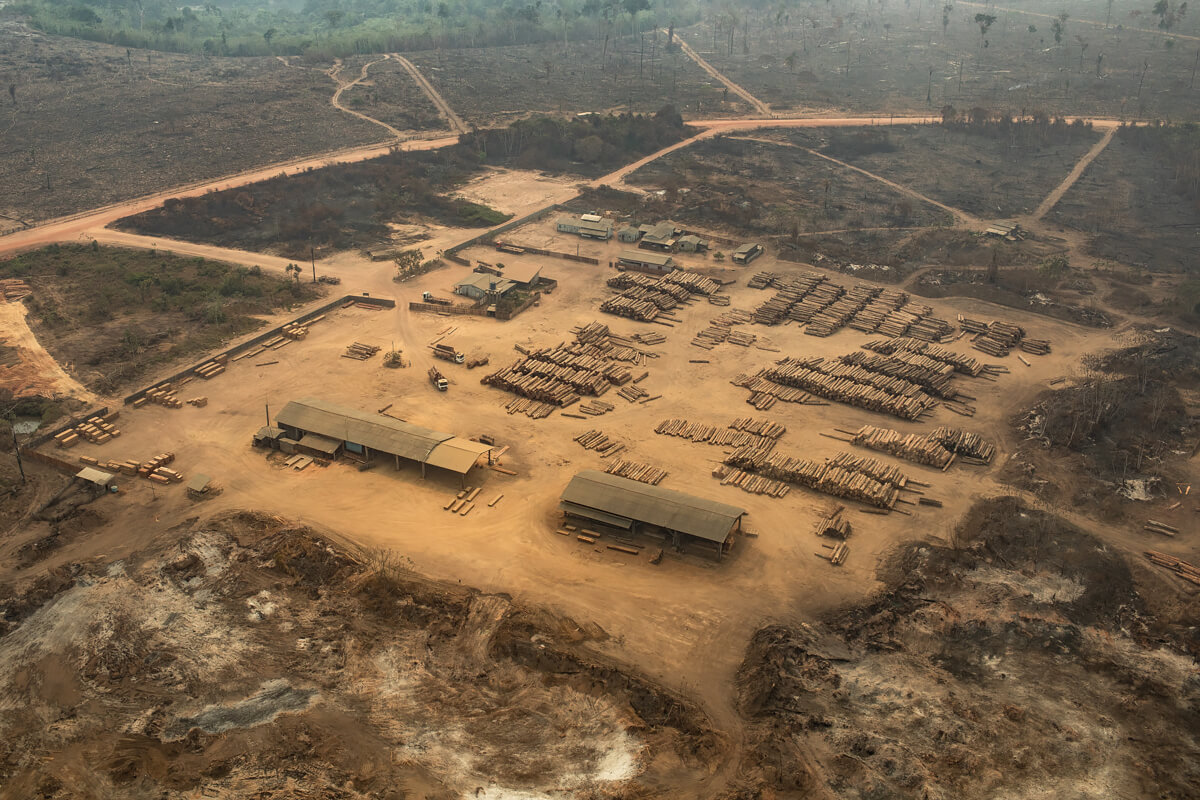 Amazon Deforestation<p>© Victor Moriyama</p>