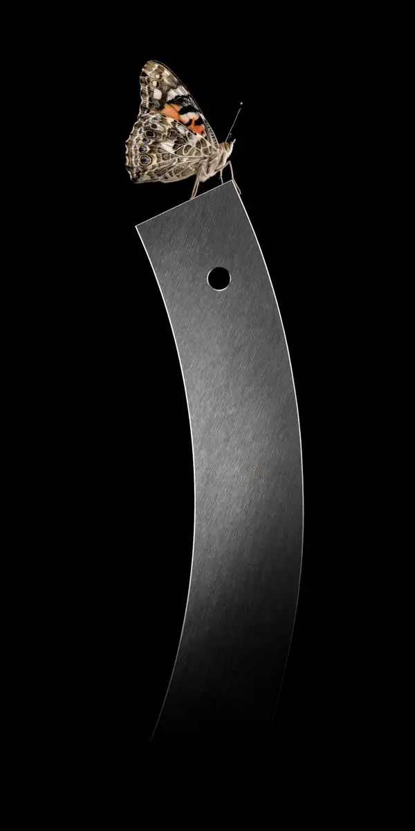 Bent<p>© Adam Neuba</p>