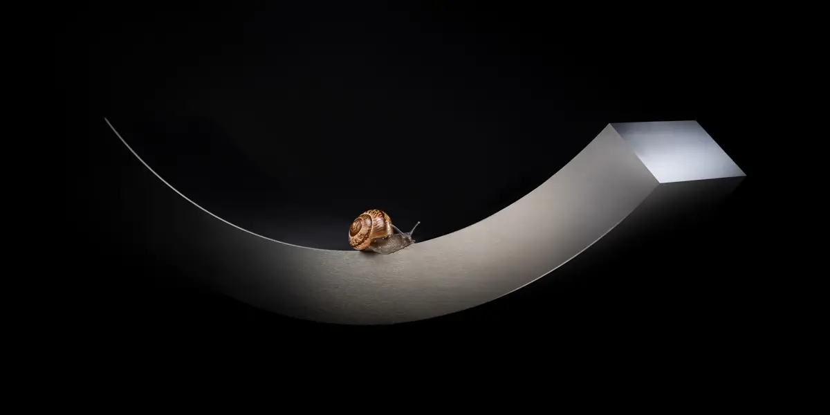 it’s My Way<p>© Adam Neuba</p>