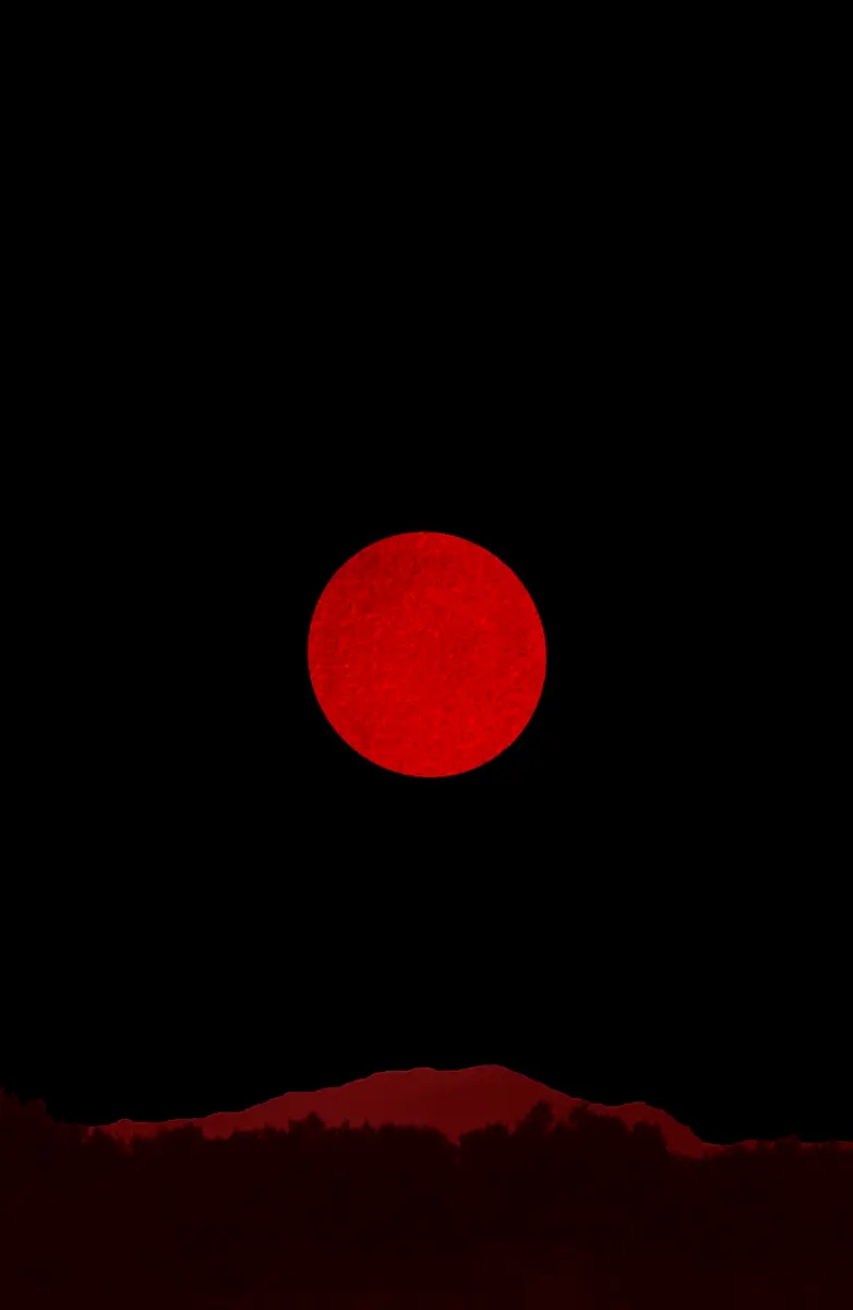 Discernment: Four Colors and One Movement<p>© Alejandra Nowiczewski</p>
