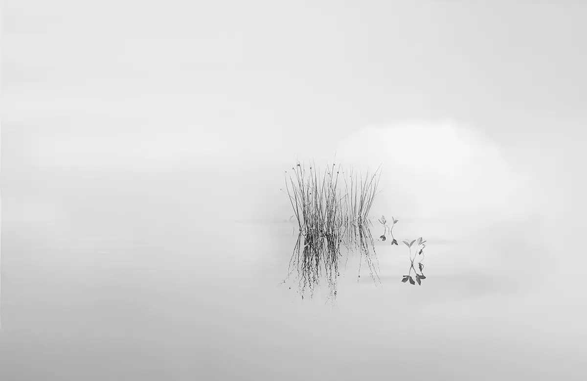 Impermanence: Four Colors and One Movement<p>© Alejandra Nowiczewski</p>