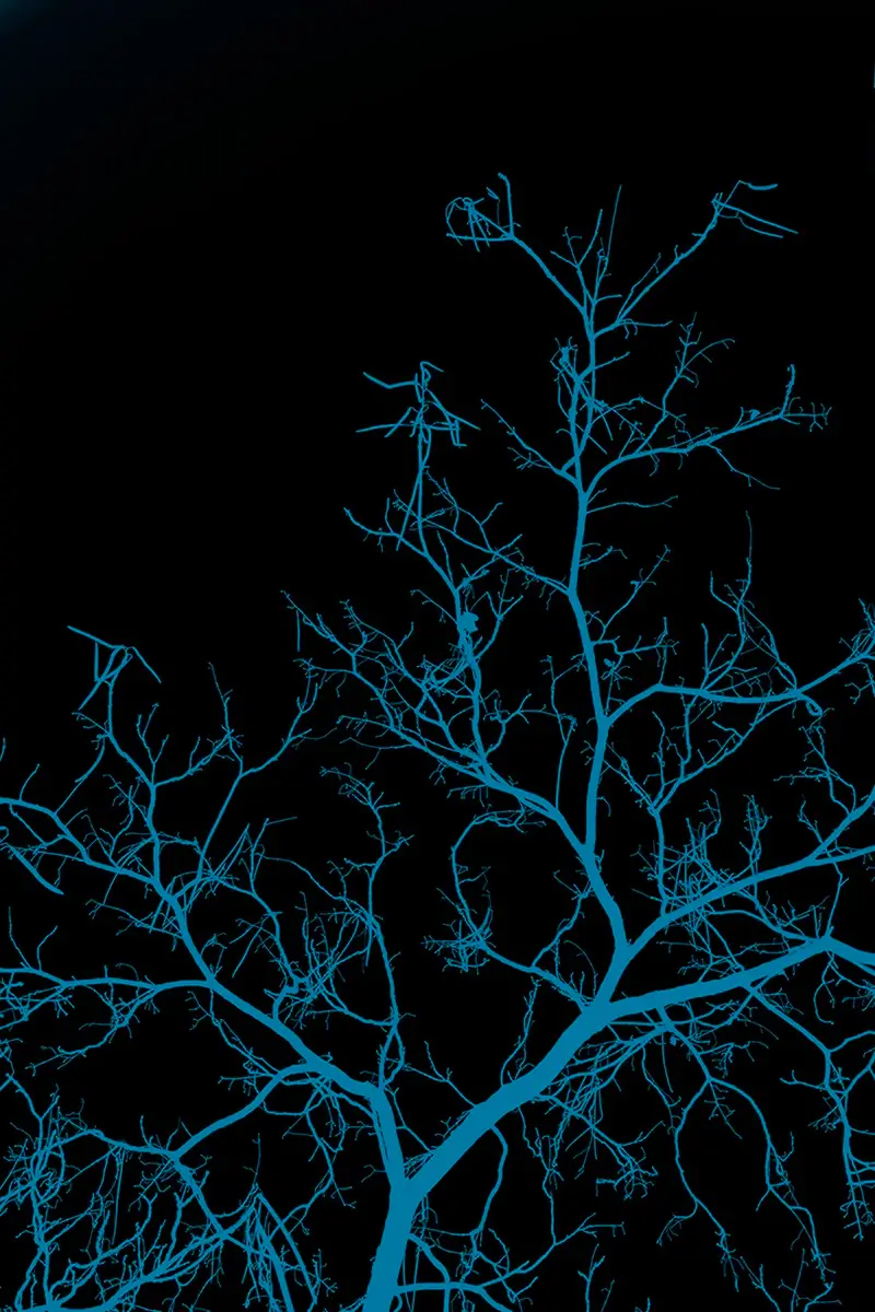 The mind: Four Colors and One Movement<p>© Alejandra Nowiczewski</p>