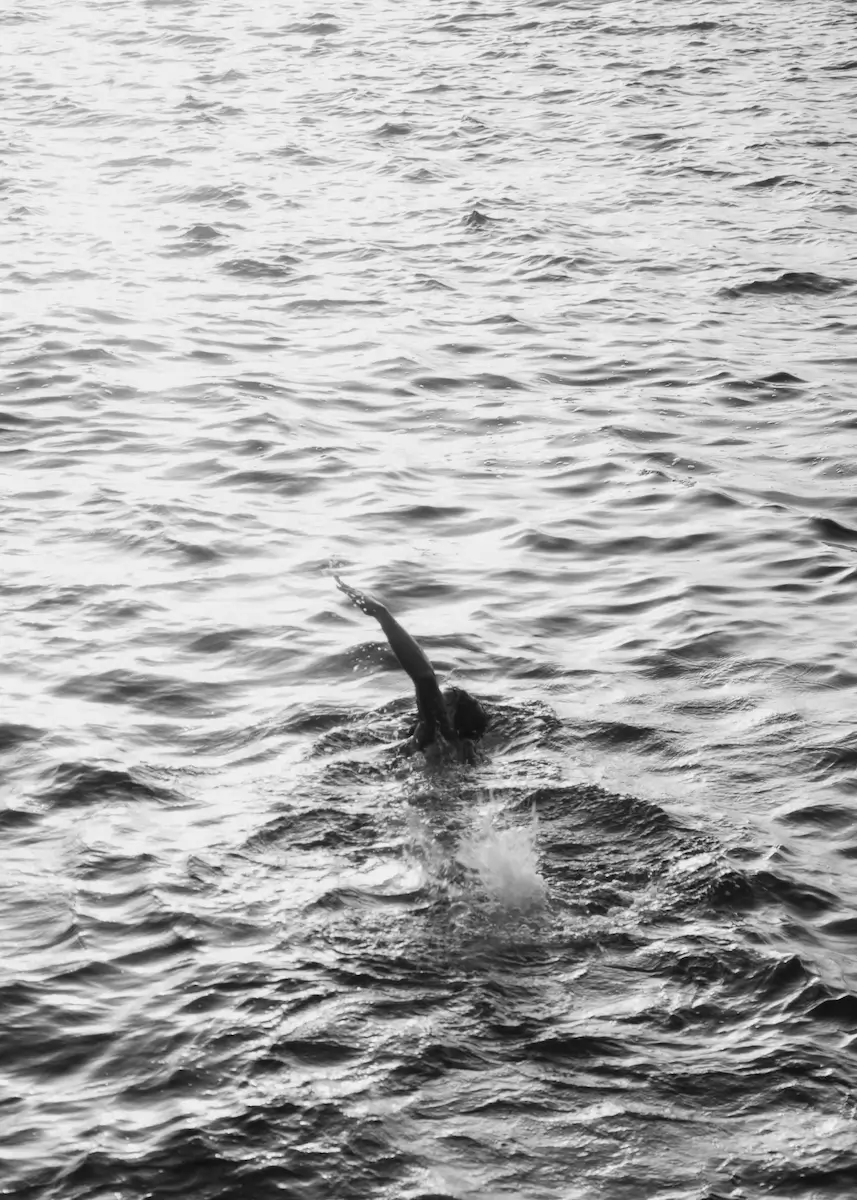 <p>&copy; Alessandro Natali</p>