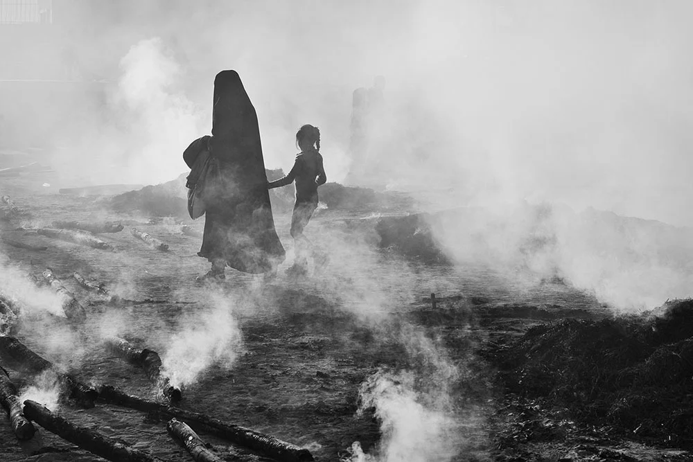 <p>&copy; Ali Nejatbakhsh</p>