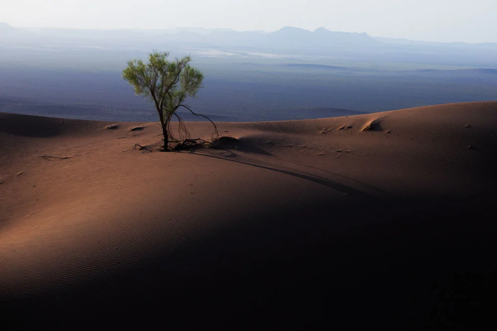 <p>&copy; Ali Nejatbakhsh</p>