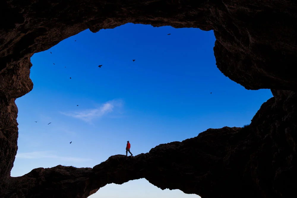 <p>&copy; Ali Nejatbakhsh</p>