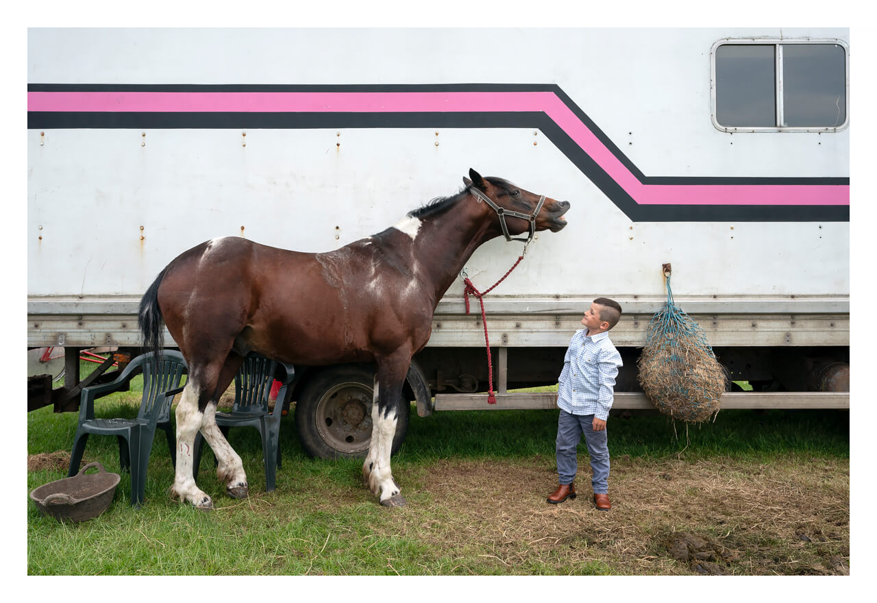 Laughing Horse - Irish Travellers<p>© Bob Newman</p>