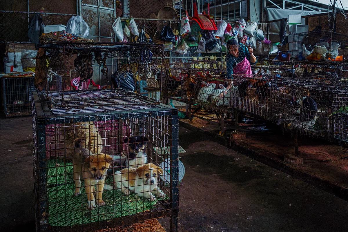 <p>&copy; Hùng Anh Nguyễn</p>