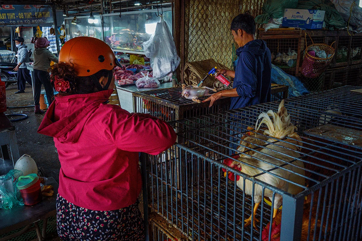 <p>&copy; Hùng Anh Nguyễn</p>