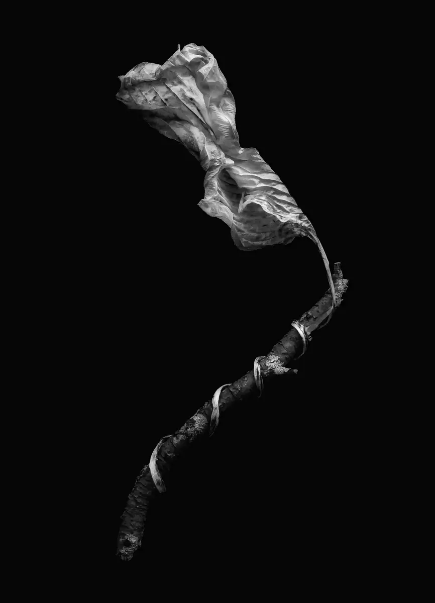 <p>© Jaime  Nisenbaum</p>