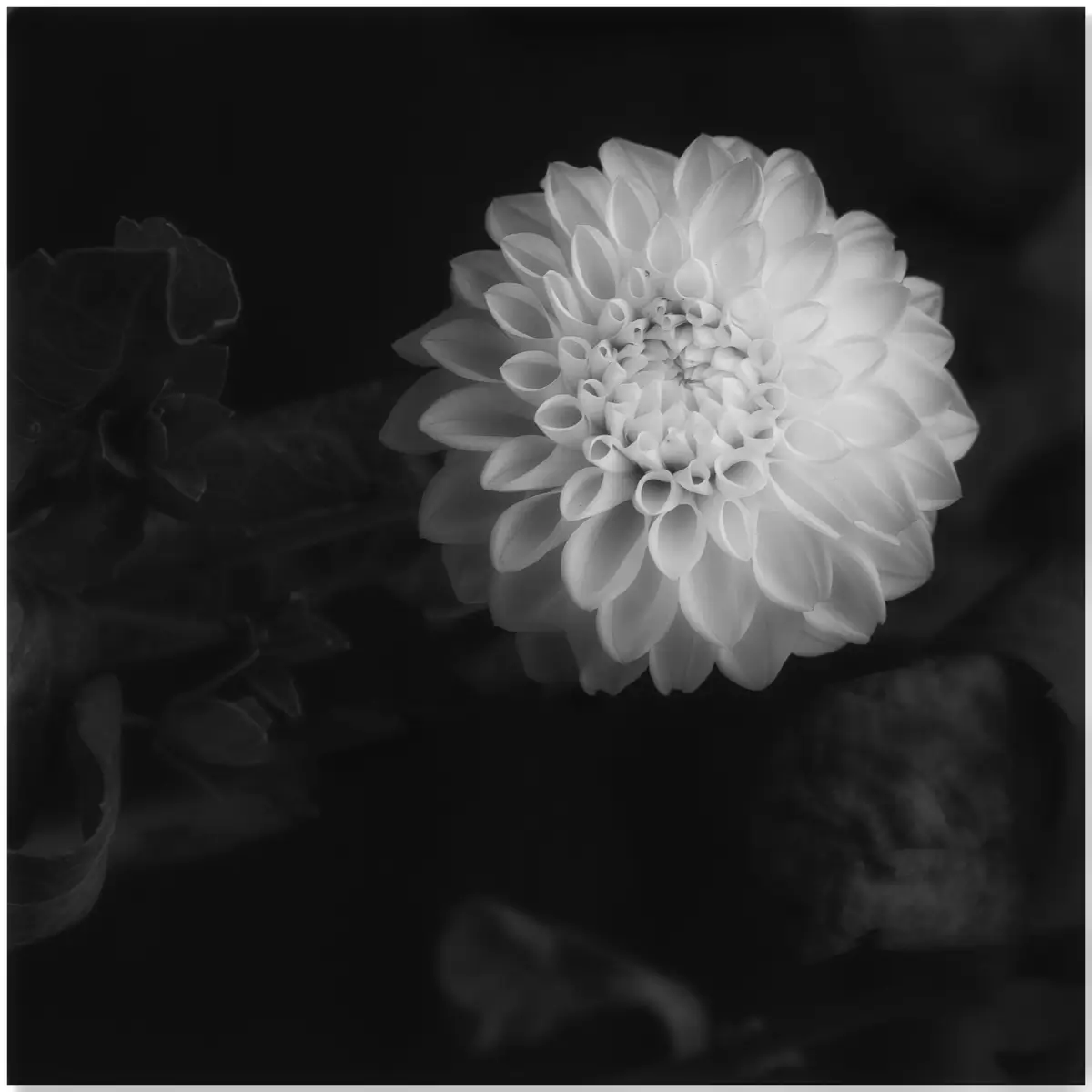 <p>© Jaime  Nisenbaum</p>