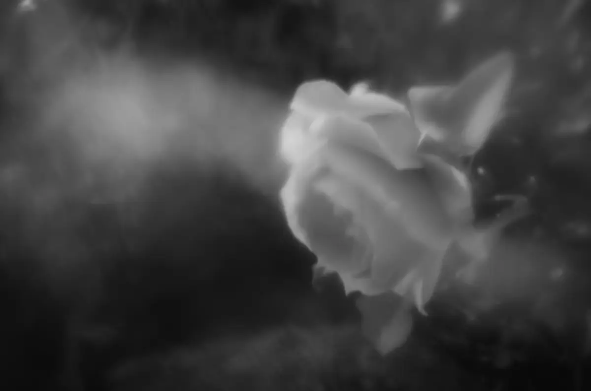 <p>© Jaime  Nisenbaum</p>