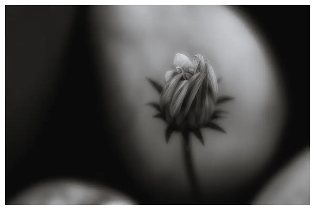 <p>© Jaime  Nisenbaum</p>