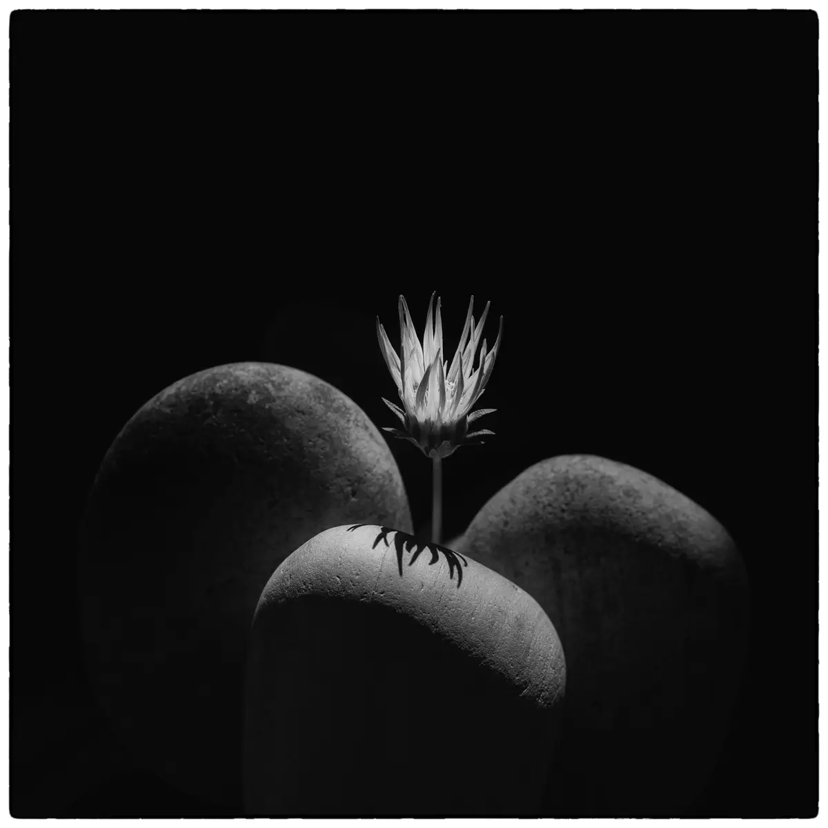 <p>© Jaime  Nisenbaum</p>