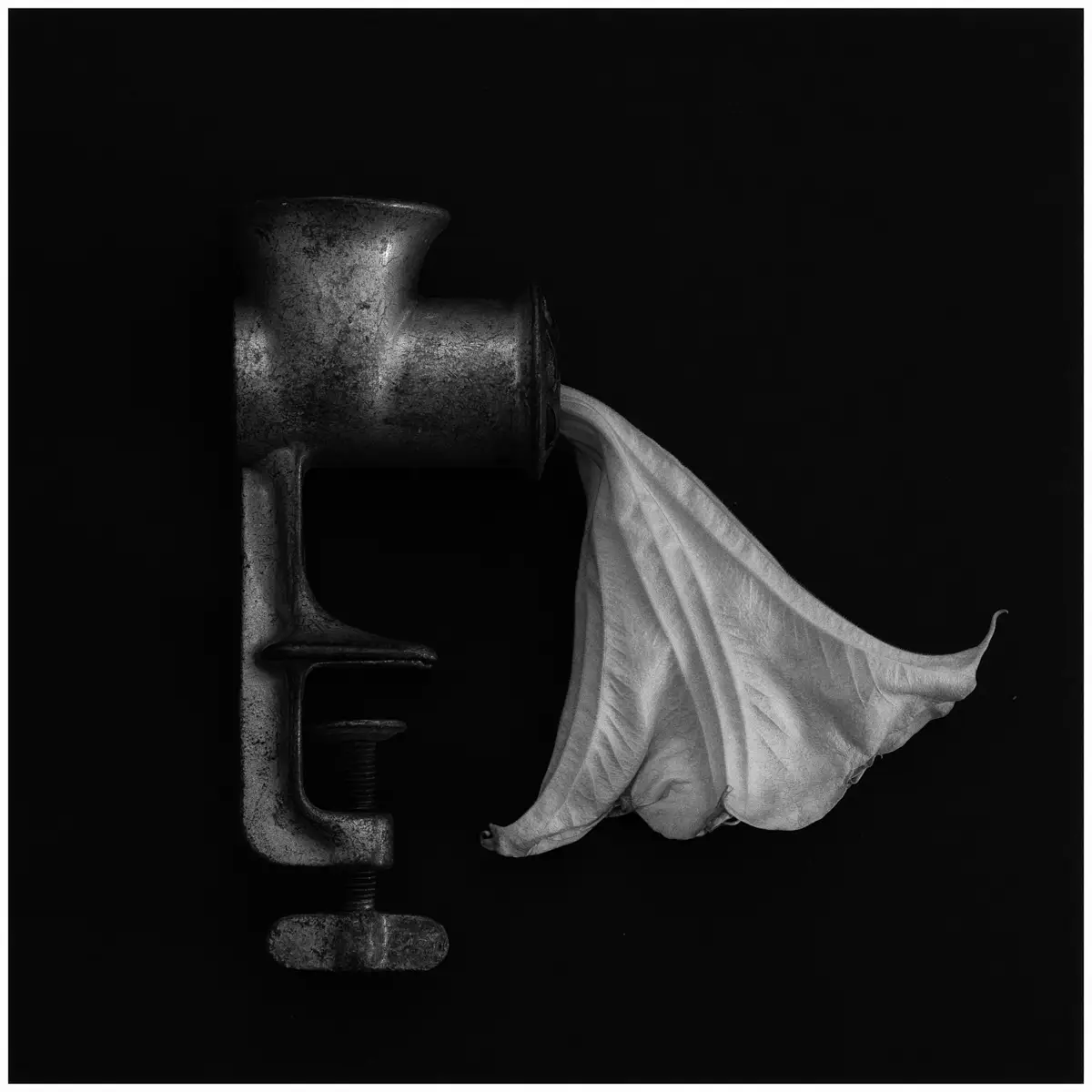 <p>© Jaime  Nisenbaum</p>