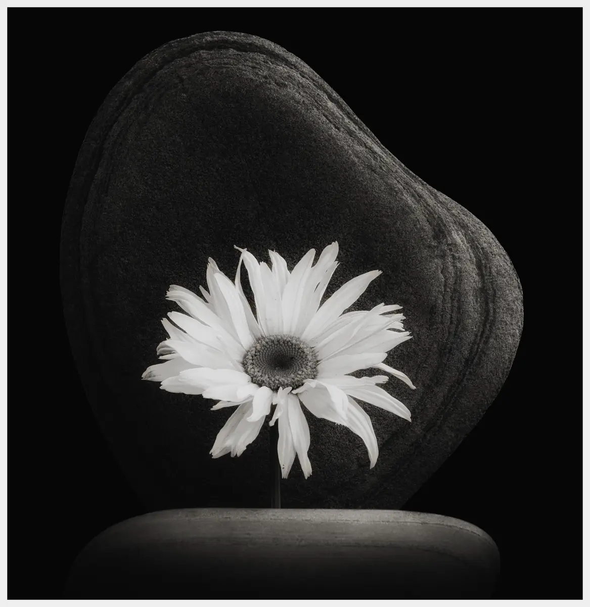 <p>© Jaime  Nisenbaum</p>