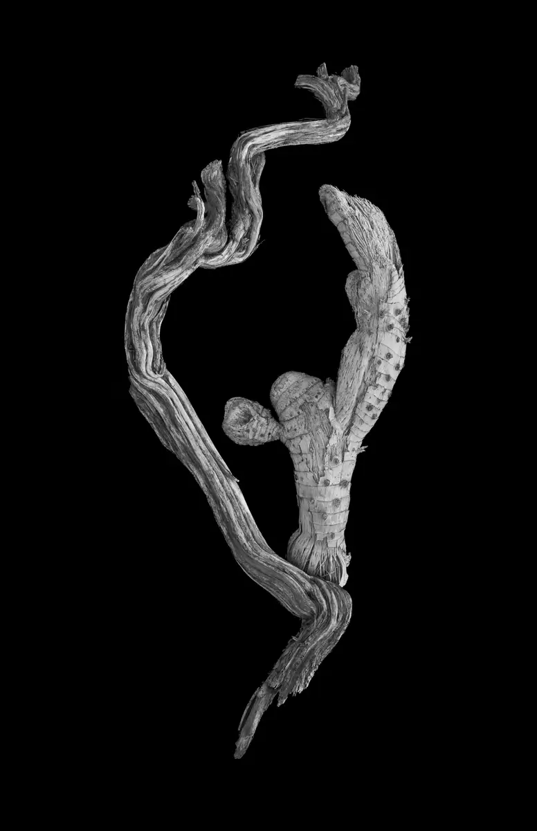 <p>© Jaime  Nisenbaum</p>