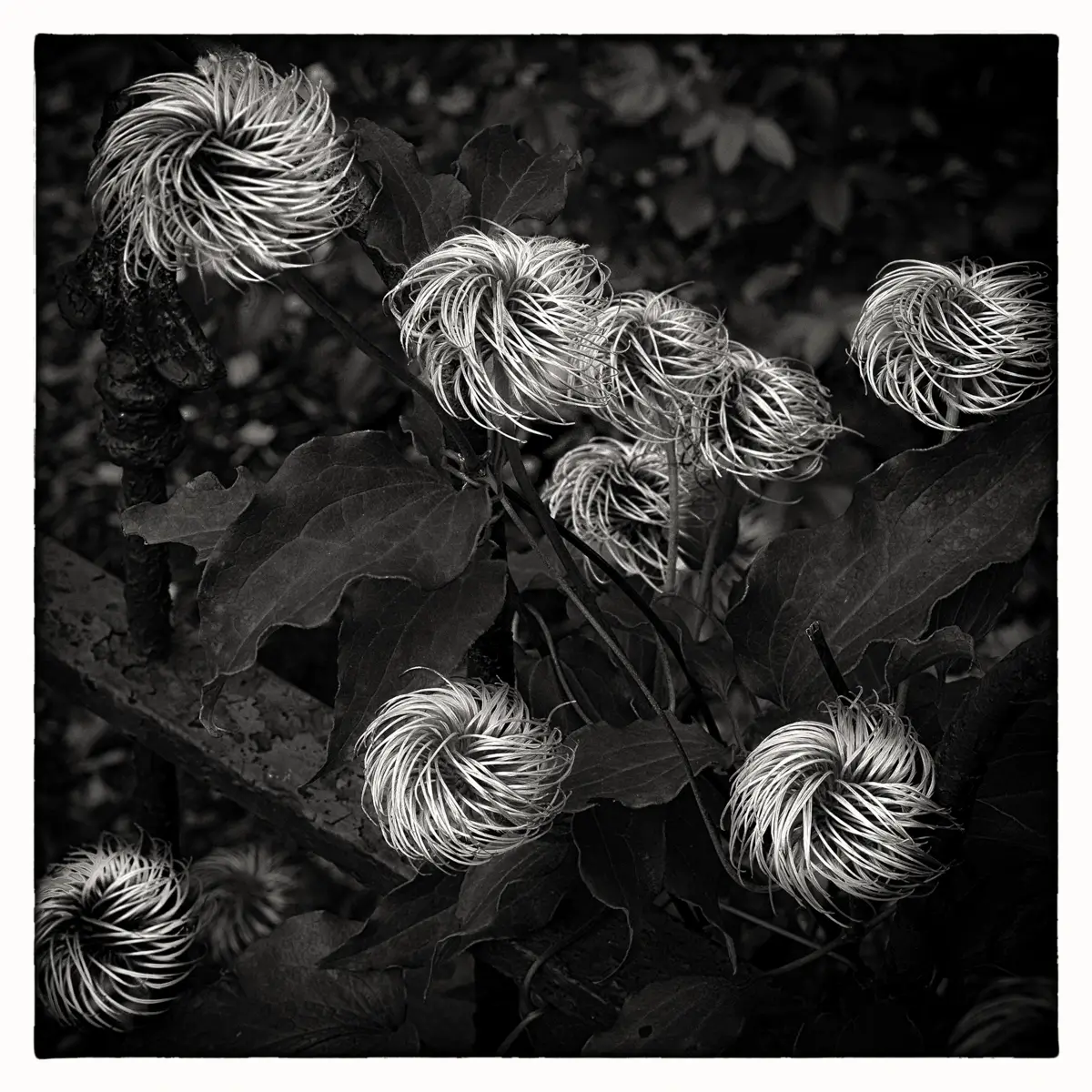 <p>© Jaime  Nisenbaum</p>