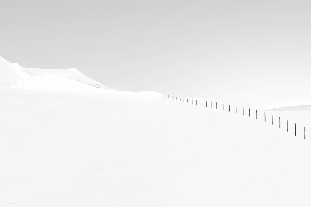 <p>© Mostafa Nodeh</p>