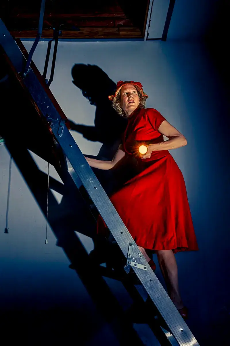 Nancy Drew<p>&copy; Nina Nelson</p>