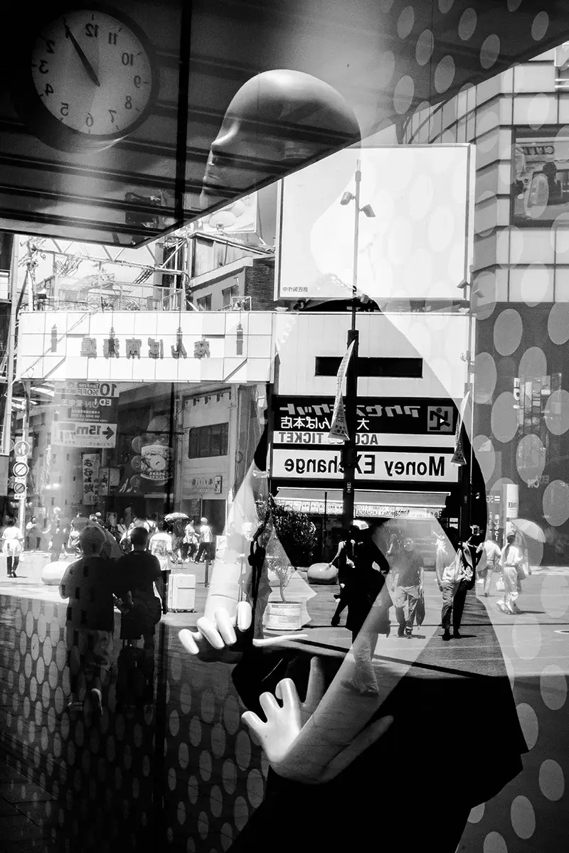 <p>© Takayuki Nakamura</p>