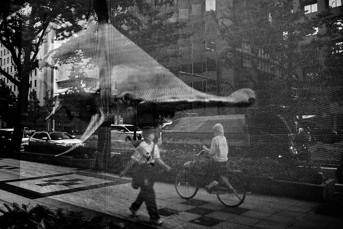 <p>© Takayuki Nakamura</p>
