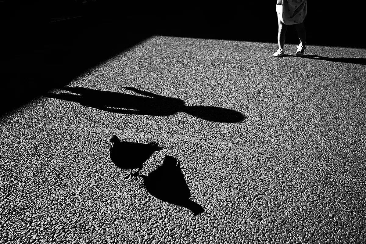 <p>© Takayuki Nakamura</p>